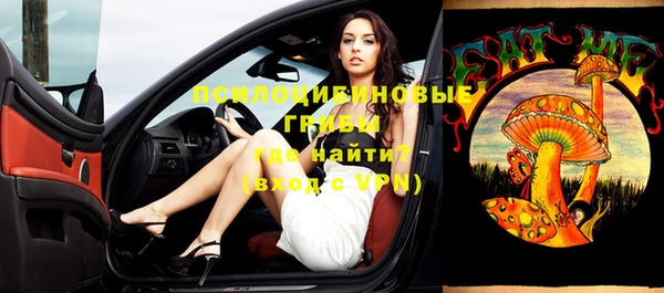 твердый Козловка